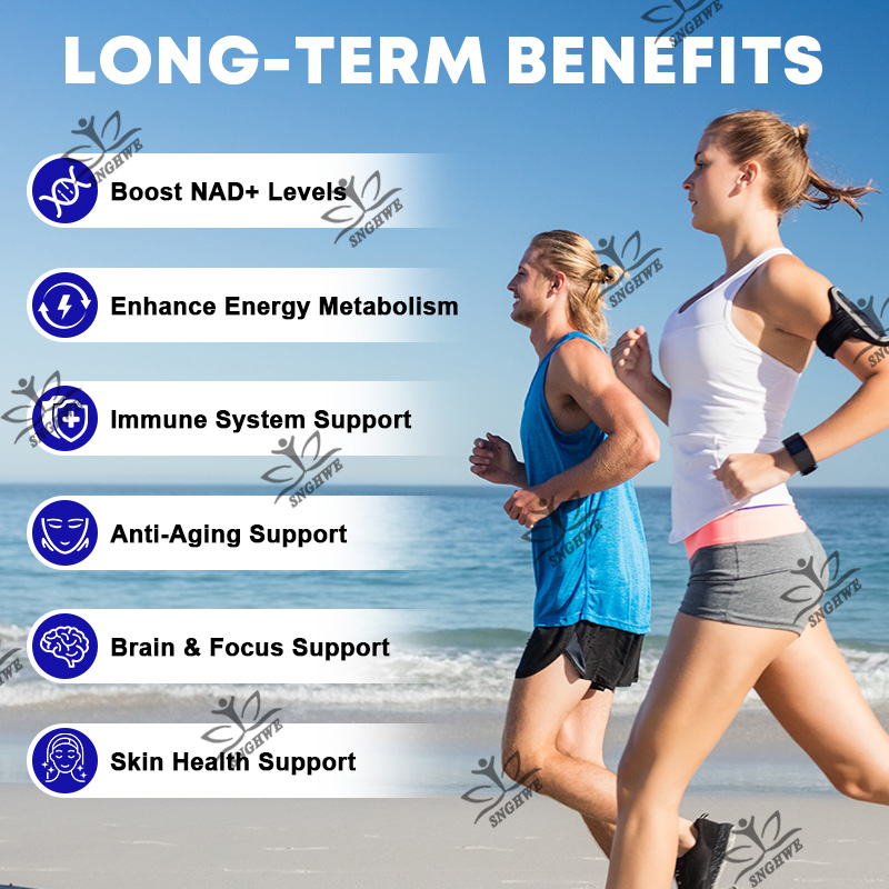 NMN Supplement 1000mg-More Abs - đánh giá và giá Chamomile Tea