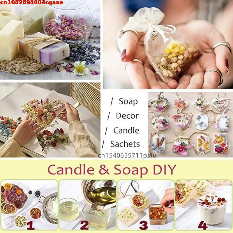 Quality Witch Beginner Natural - đánh giá và giá Chamomile Tea